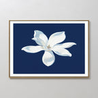 The Starlit Magnolia Canvas Art - Horizontal showcases a single white magnolia with subtle shading on a dark blue backdrop, framed and displayed on a light wall—a modern, elegant touch to your décor.