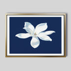 The Starlit Magnolia Canvas Art - Horizontal features a white magnolia illustration on a dark blue background in a gold and white frame, adding contemporary style to your wall décor.