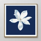 The Starlit Magnolia Canvas Art - Square features a single white magnolia with soft shading, set against a deep blue background and framed in gold—an elegant, contemporary wall art piece for any room.