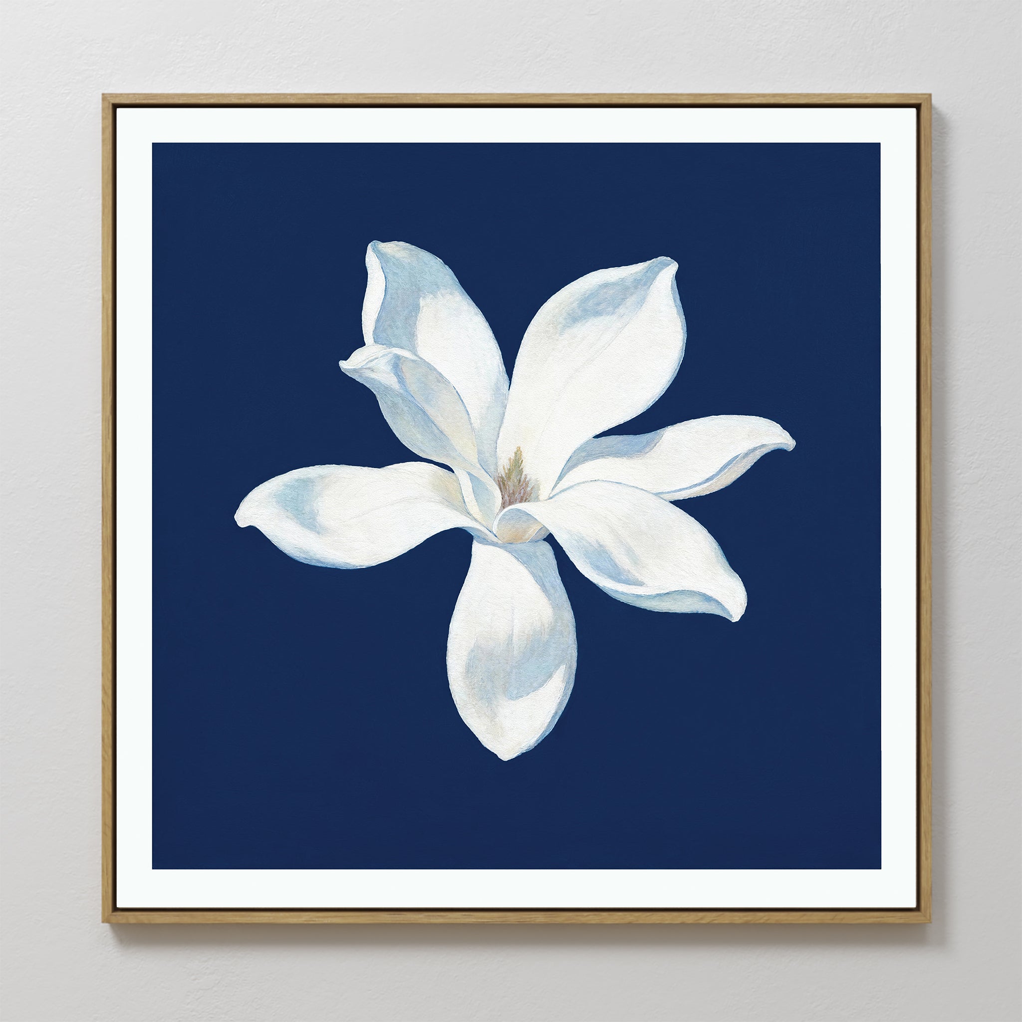 The Starlit Magnolia Canvas Art - Square features a single white magnolia with soft shading, set against a deep blue background and framed in gold—an elegant, contemporary wall art piece for any room.