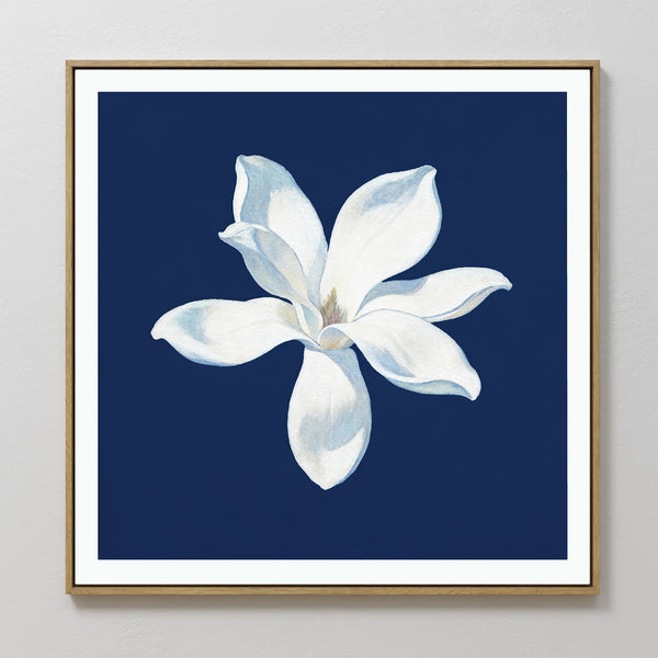 Starlit Magnolia Canvas Art - Square