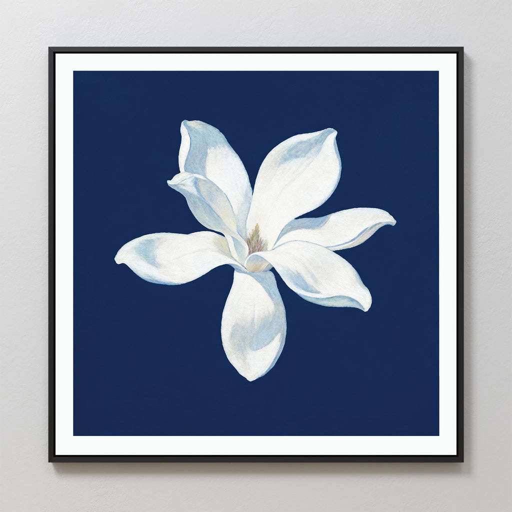 The Starlit Magnolia Canvas Art - Square displays a single white magnolia with soft petals on a dark blue background, centered in a black frame and shown on a light wall—ideal for adding contemporary style to any space.