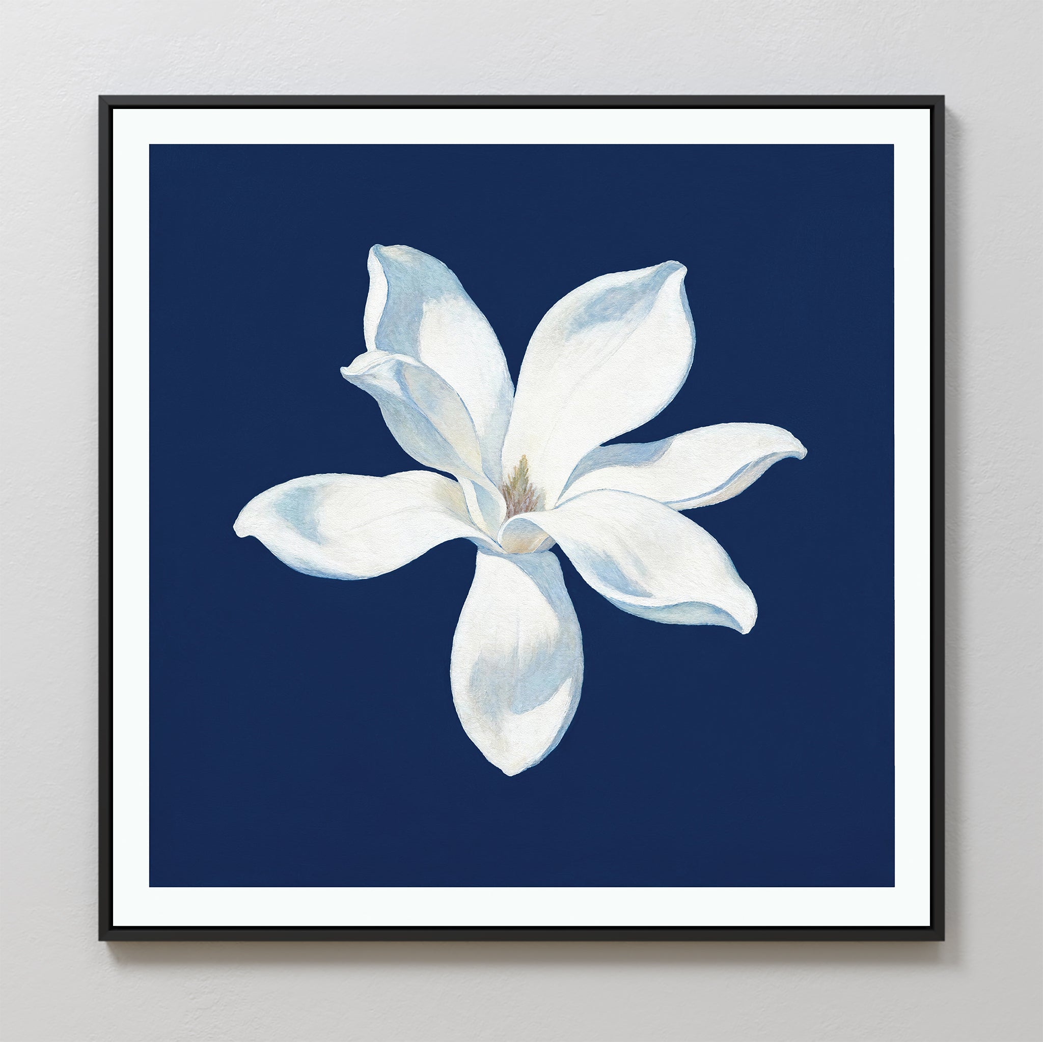 The Starlit Magnolia Canvas Art - Square displays a single white magnolia with soft petals on a dark blue background, centered in a black frame and shown on a light wall—ideal for adding contemporary style to any space.