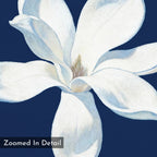 A close-up illustration of a white magnolia with detailed petals on a dark blue background. “Zoomed In Detail” appears in the lower left. This is the Starlit Magnolia Canvas Art - Square, perfect for adding elegance to any space.