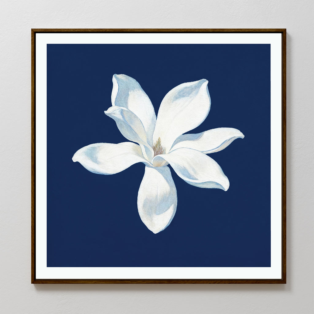 The Starlit Magnolia Canvas Art - Square showcases a single six-petal white magnolia on a dark blue background, framed in wood for a modern touch, perfect for bright walls.