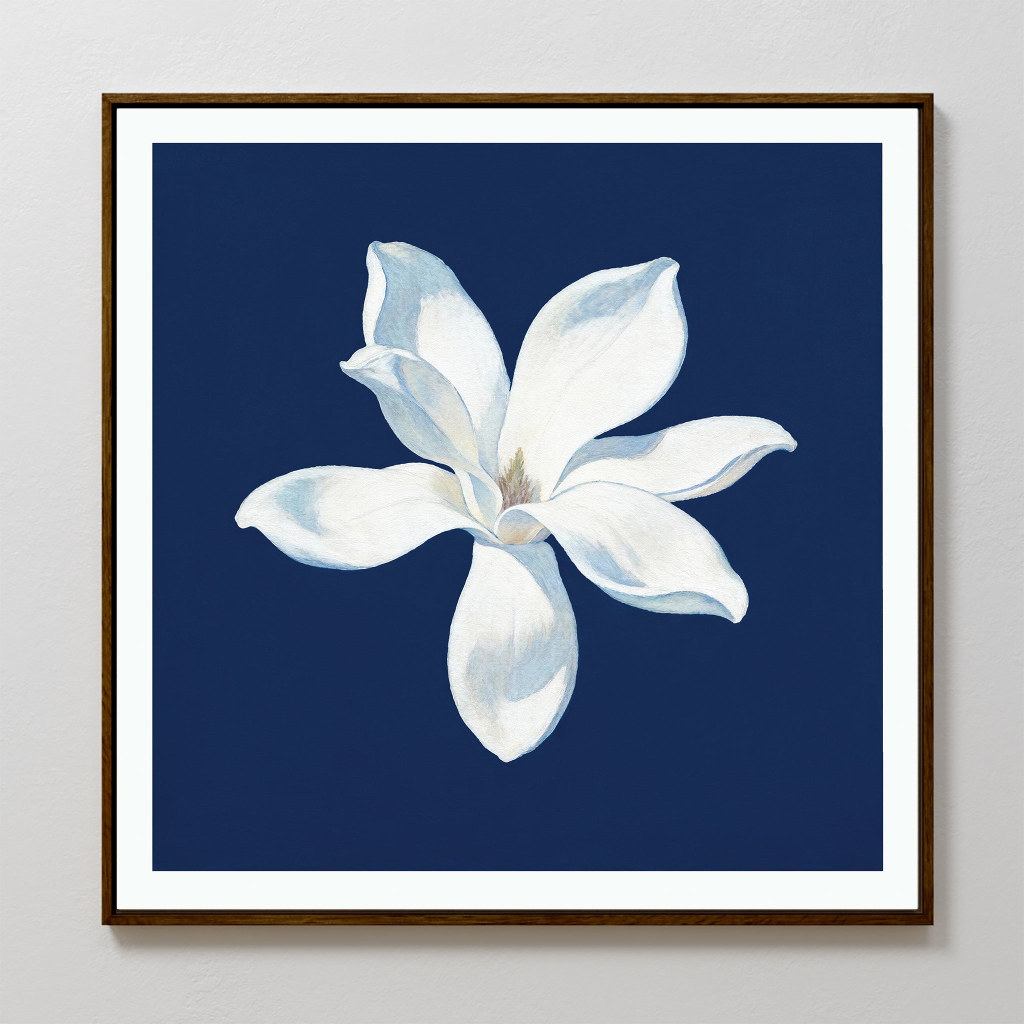 The Starlit Magnolia Canvas Art - Square showcases a single six-petal white magnolia on a dark blue background, framed in wood for a modern touch, perfect for bright walls.