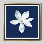The Starlit Magnolia Canvas Art - Square features a white six-petal magnolia centered on dark blue with a gold frame, making it an ideal contemporary wall décor or canvas print for Nordic Park-inspired interiors.
