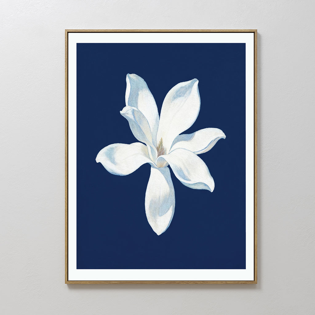 The Starlit Magnolia Canvas Art - Vertical showcases a single white magnolia bloom with soft shading on a deep navy background, ideal for adding a touch of contemporary elegance to any room.