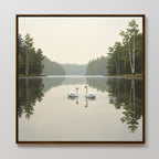 The Twin Swans Serenity Canvas Art - Square features two swans facing each other on a calm Nordic Park lake, surrounded by trees reflected in the water beneath a gentle, cloudy sky.