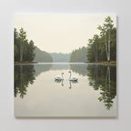 Twin Swans Serenity Canvas Art - Square features two swans facing each other on a calm lake in Nordic Park, framed by mirrored trees and a hazy sky—perfect wall art to bring tranquility to any space.