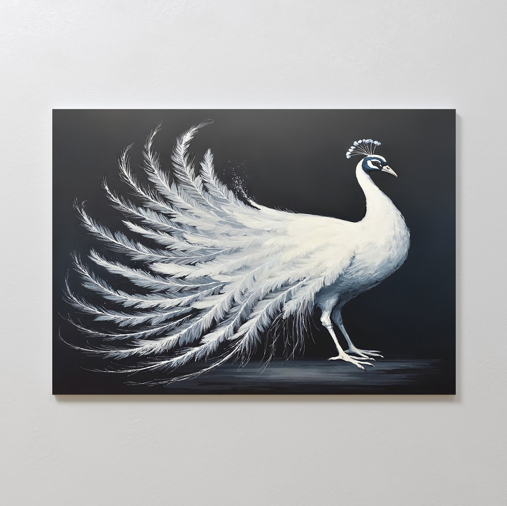 The White Peacock Display Canvas Art - Horizontal features a graceful white peacock with fanned tail feathers against a dark background, showcasing its elegant plumage—a striking print for any space.