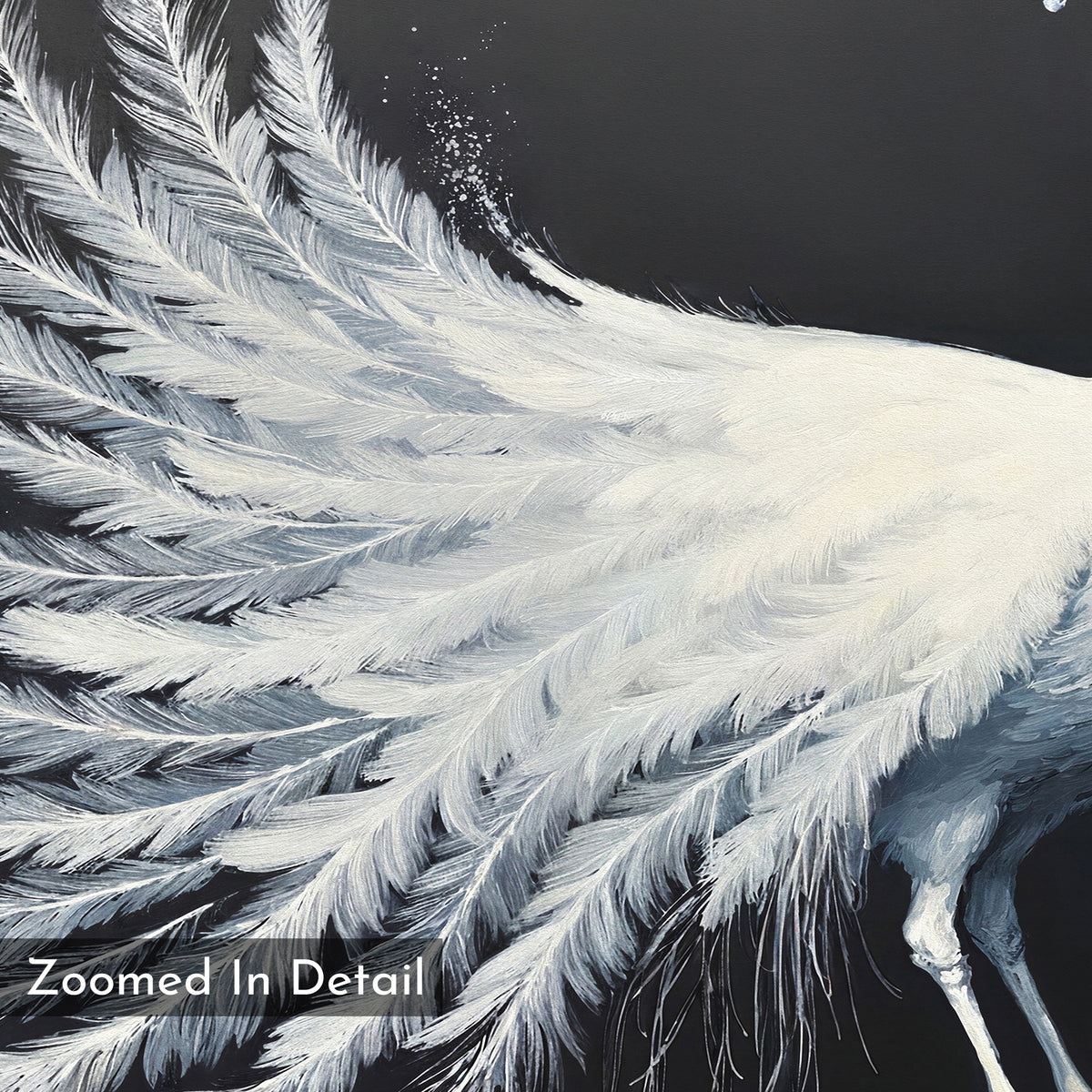 Close-up of a white peacock’s outstretched wing on a dark background reveals detailed feathers. "Zoomed In Detail" text in the lower left—an elegant White Peacock Display Canvas Art, perfect for Nordic Park print enthusiasts.