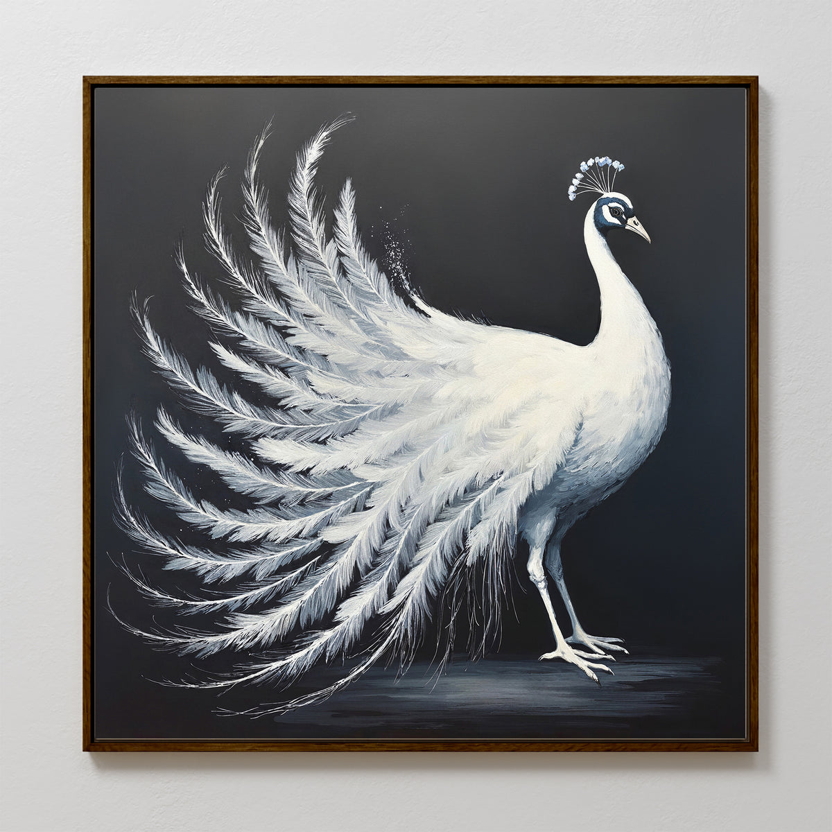 The White Peacock Display Canvas Art - Square showcases a white peacock with an elaborate fanned tail on a dark background, highlighting its elegant feathers and graceful pose—ideal as sophisticated wall art.