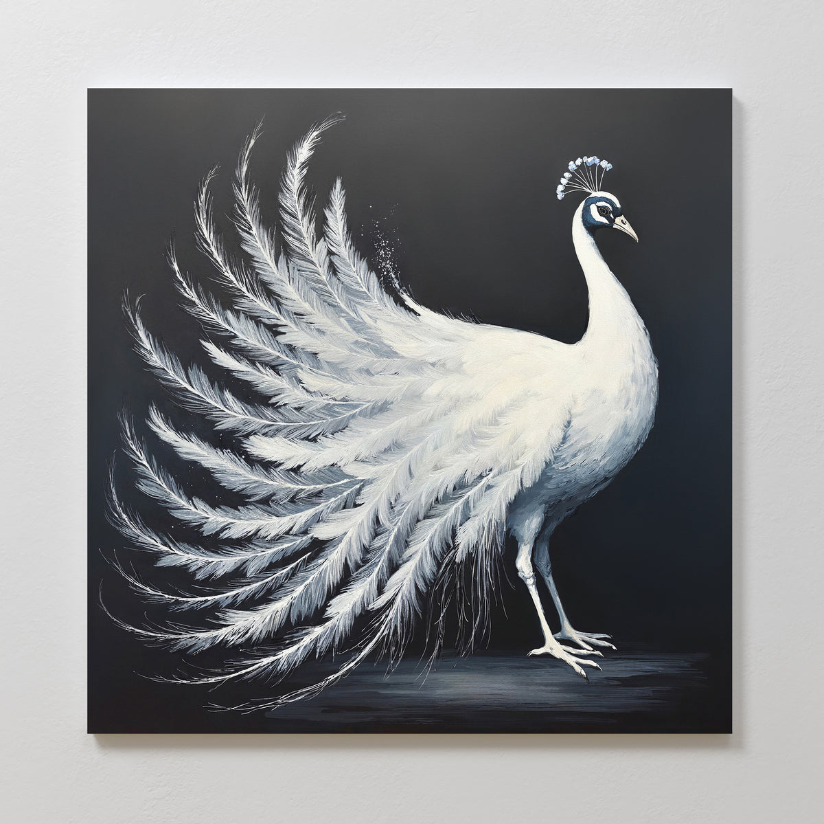 The White Peacock Display Canvas Art - Square features a graceful white peacock in profile with an elegant fanned tail on a dark background, making it the perfect sophisticated wall art for any space.